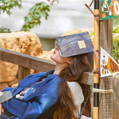 廉政追缉令粤语